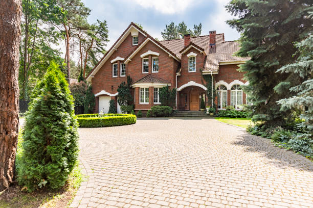 Best Residential Driveway Paver Services  in Corrales, NM