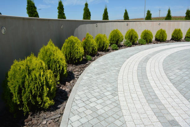 Trusted Corrales, NM Driveway Pavers Experts